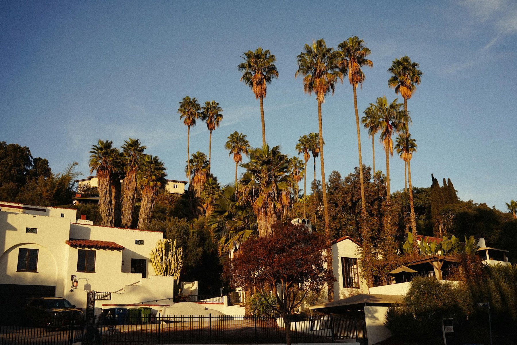 A row of Spanish-style bungalows with mature palm trees in Los Angeles, golden hour